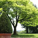 Szálloda Boutique De Proosdij