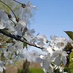 Boutique De Proosdij Klimmen