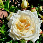 Boutique De Proosdij Klimmen