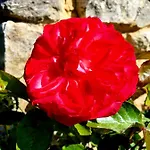 Boutique De Proosdij Klimmen