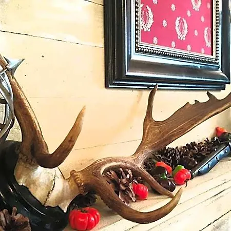 Boutique De Proosdij Hotell Klimmen