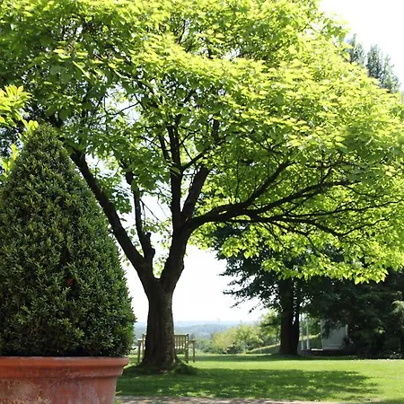 Отель Boutique De Proosdij