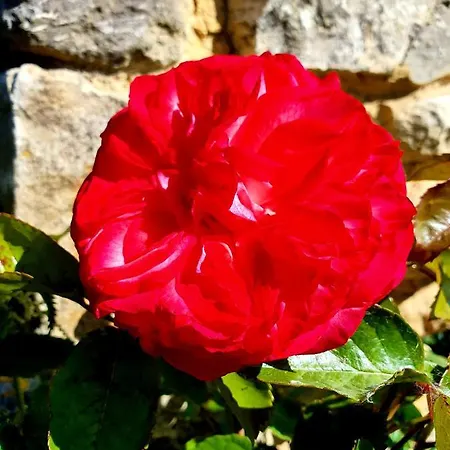 Boutique De Proosdij Klimmen