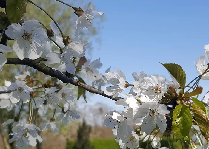 Boutique De Proosdij Klimmen