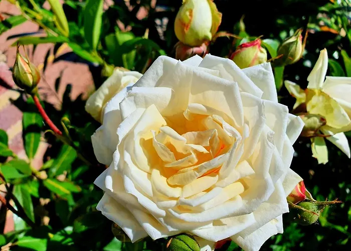 Boutique De Proosdij Klimmen