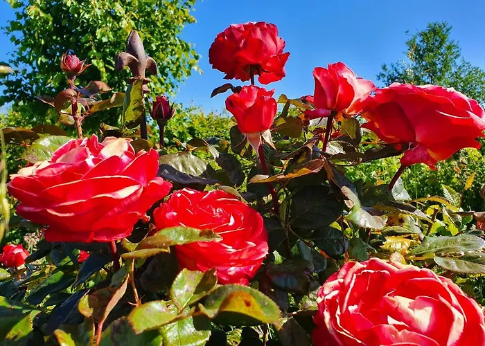 Hotel Boutique De Proosdij *