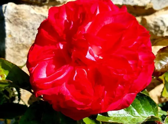 Boutique De Proosdij Klimmen